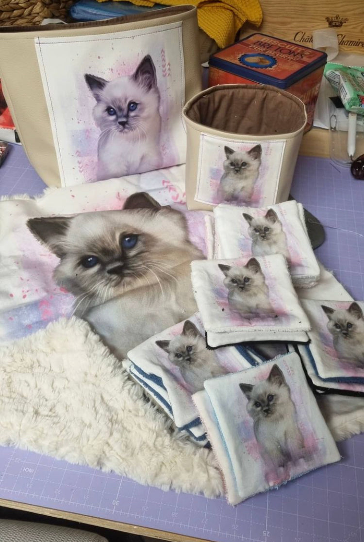 Cassoliv panneau tissu Chat de 12 ou 24 carrés de 12x12cm pour lingettes lavables