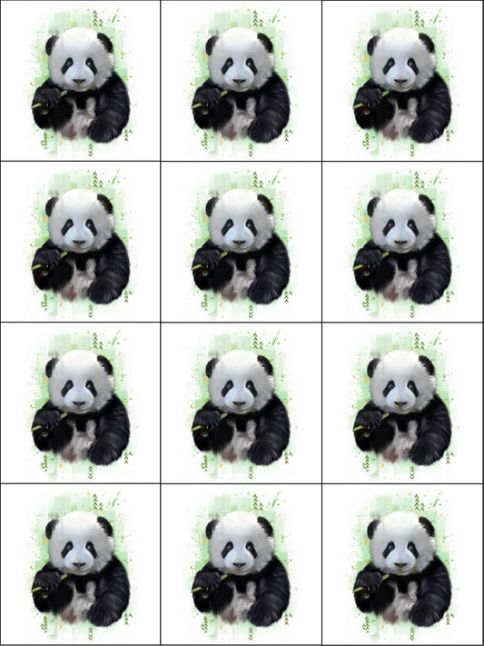 Cassoliv panneau tissu Panda de 12 ou 24 carrés de 12x12cm pour lingettes lavables